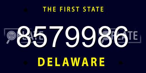 8579986 Delaware License Plate