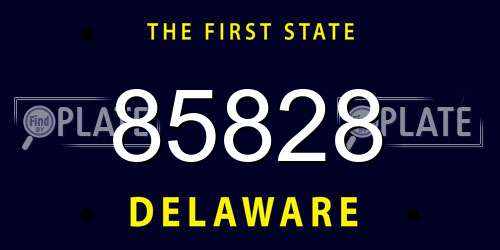 85828 Delaware License Plate