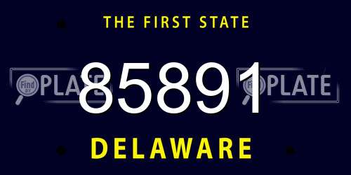 85891 Delaware License Plate
