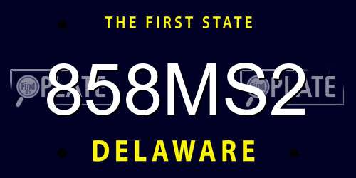858MS2 Delaware License Plate