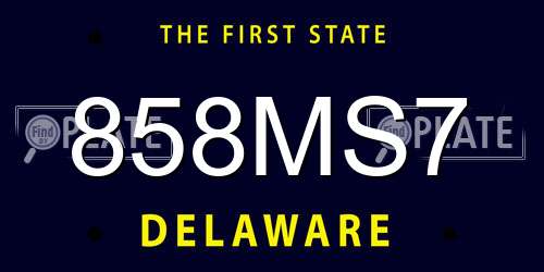 858MS7 Delaware License Plate