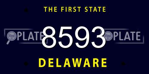 8593 Delaware License Plate