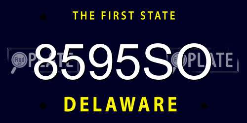 8595SO Delaware License Plate