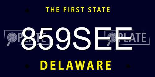 859SEE Delaware License Plate
