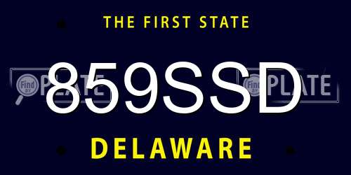859SSD Delaware License Plate