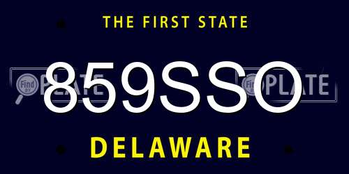 859SSO Delaware License Plate
