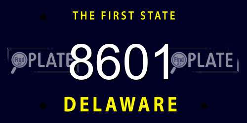 8601 Delaware License Plate
