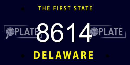 8614 Delaware License Plate
