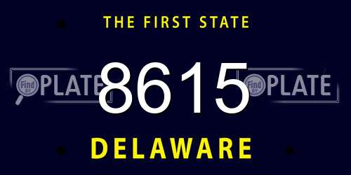 8615 Delaware License Plate