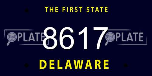 8617 Delaware License Plate