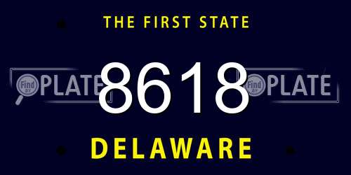 8618 Delaware License Plate