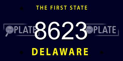8623 Delaware License Plate