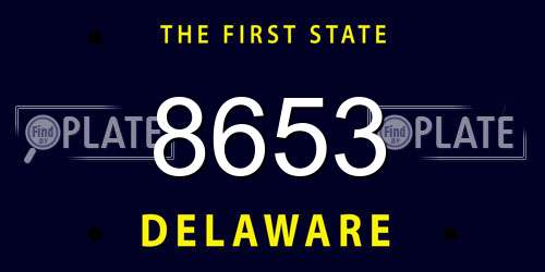 8653 Delaware License Plate