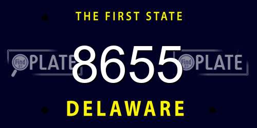 8655 Delaware License Plate