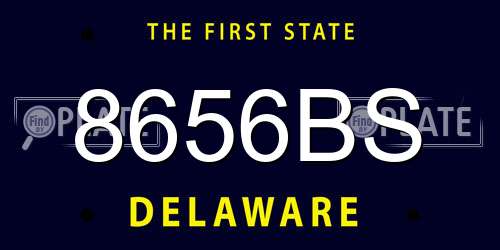 8656BS Delaware License Plate