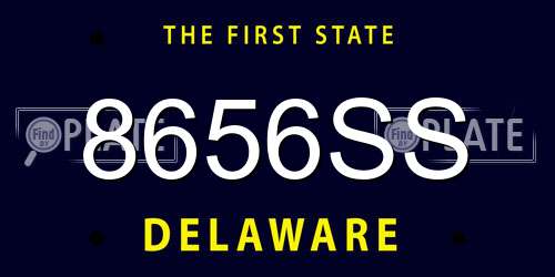 8656SS Delaware License Plate