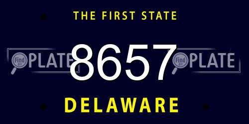 8657 Delaware License Plate