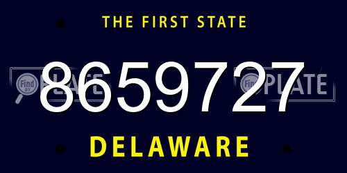 8659727 Delaware License Plate
