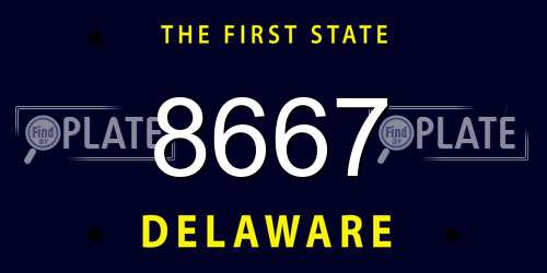 8667 Delaware License Plate