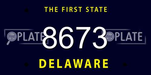 8673 Delaware License Plate