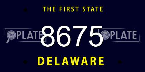 8675 Delaware License Plate