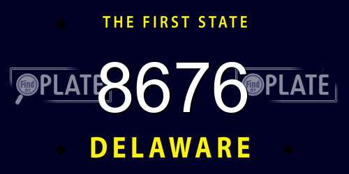 8676 Delaware License Plate