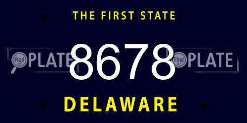 8678 Delaware License Plate