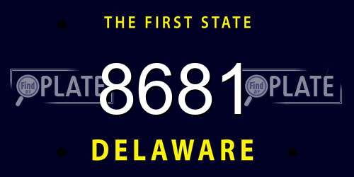 8681 Delaware License Plate