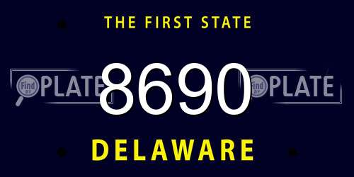 8690 Delaware License Plate