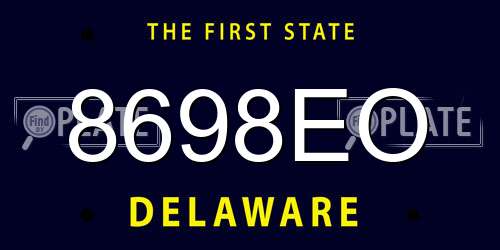 8698EO Delaware License Plate