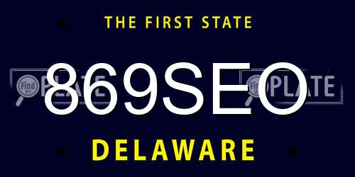 869SEO Delaware License Plate