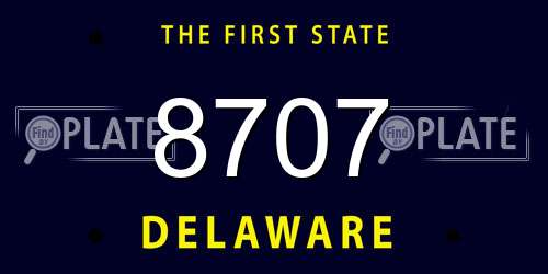 8707 Delaware License Plate