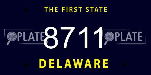 8711 Delaware License Plate