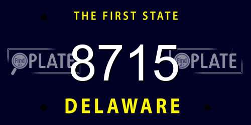 8715 Delaware License Plate