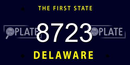 8723 Delaware License Plate