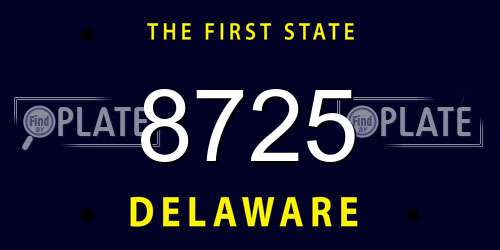 8725 Delaware License Plate