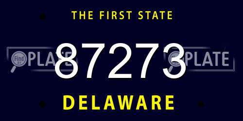 87273 Delaware License Plate