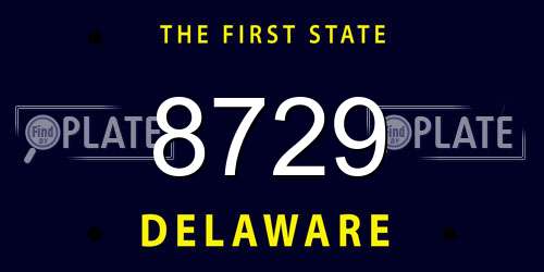8729 Delaware License Plate