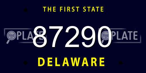 87290 Delaware License Plate