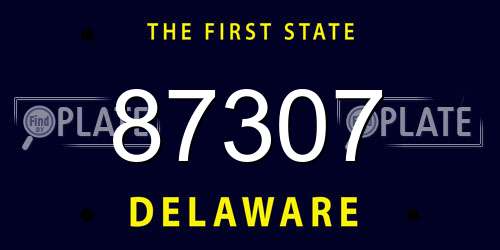 87307 Delaware License Plate