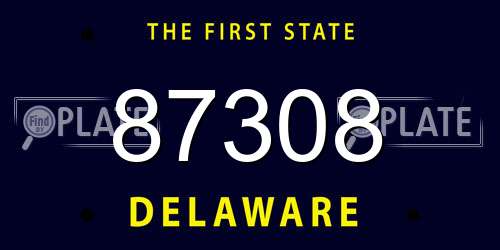 87308 Delaware License Plate