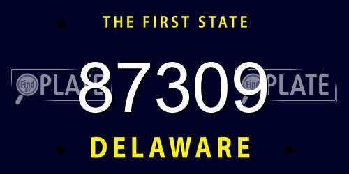 87309 Delaware License Plate