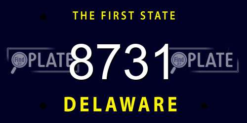 8731 Delaware License Plate