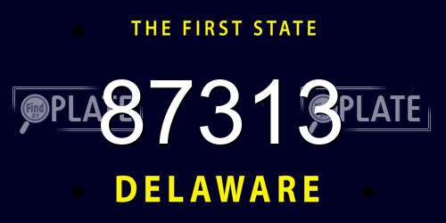 87313 Delaware License Plate