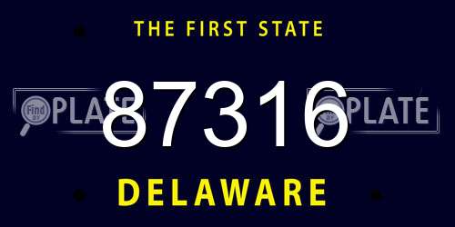 87316 Delaware License Plate