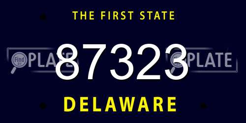 87323 Delaware License Plate