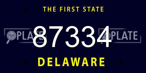 87334 Delaware License Plate