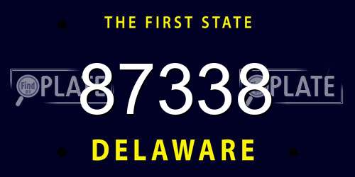 87338 Delaware License Plate