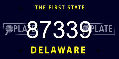87339 Delaware License Plate