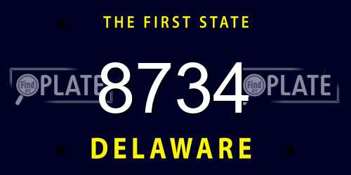 8734 Delaware License Plate